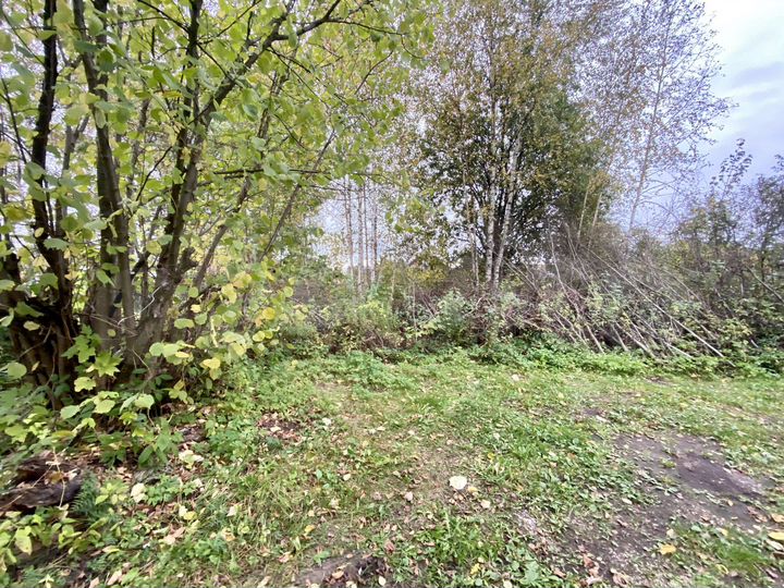 Участок 9 сот. (СНТ, ДНП)