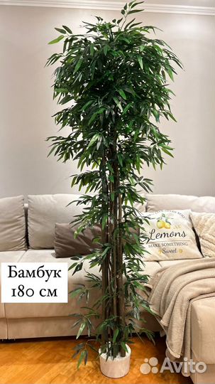 Искусственное дерево бамбук 180 см