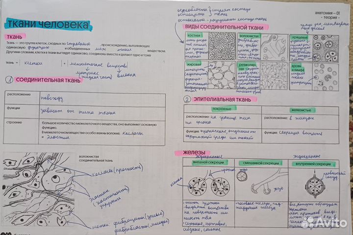 Курсы по подготовке к егэ по биологии