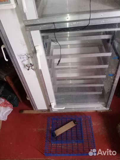 Инкубатор Рэмил с выводной камерой