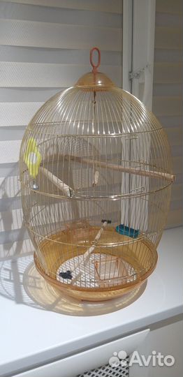 Продается клетка для попугая