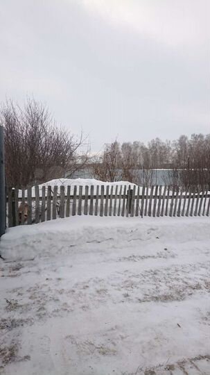 Дом 64,6 м² на участке 15 сот.