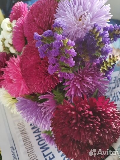 Гелихризум, ворсянка, эхинацея, астра семена