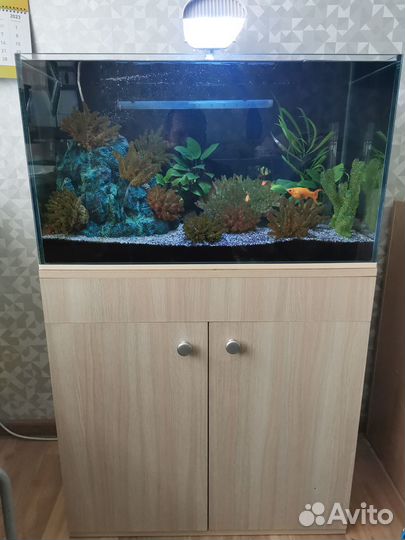 Продам аквариум 100 л со всем-всем-всем