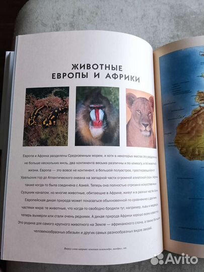 Энциклопедия о животных