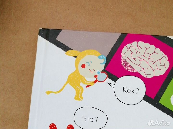 Книга Моё тело от макушки до пяток миф