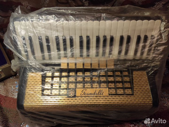 Аккордеон трофейный