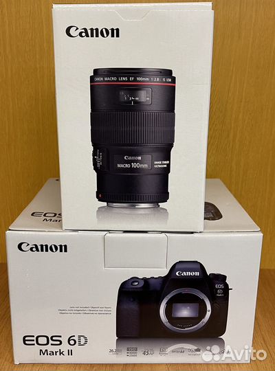 Canon EOS 6D Mark II+Canon EF 100mm 2.8L Macro