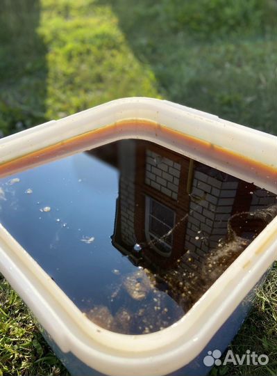 Алтайский мед оптом 2023