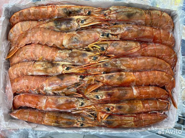Лангустины L1 крупный. Без посредников