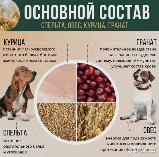 Корм для собак n&d сухой