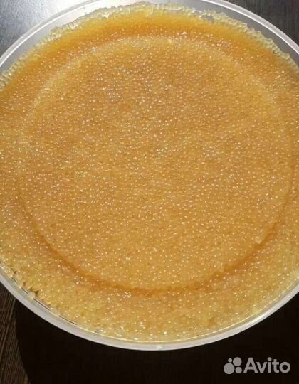 Икра щуки весенняя 2023г