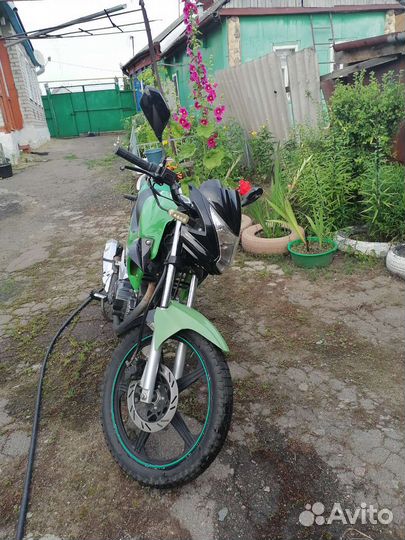 Irbis gs200