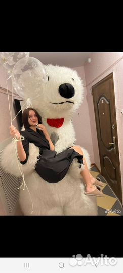 Поздравление ростовая кукла белый медведь 