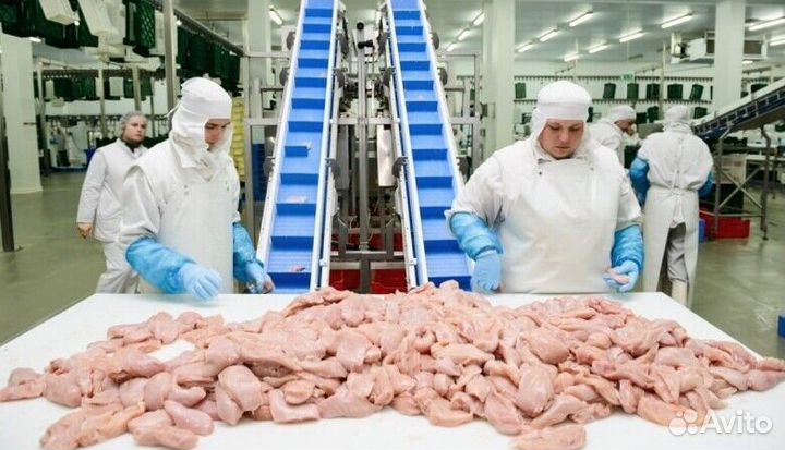 Разнорабочий на производство(вахта)