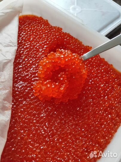 Красная икра Кета