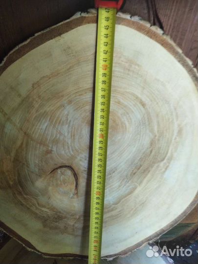 Срезы берёзовые