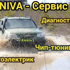 Чип Тюнинг двигателя Chevrolet Niva 1.7i, перевод на E2