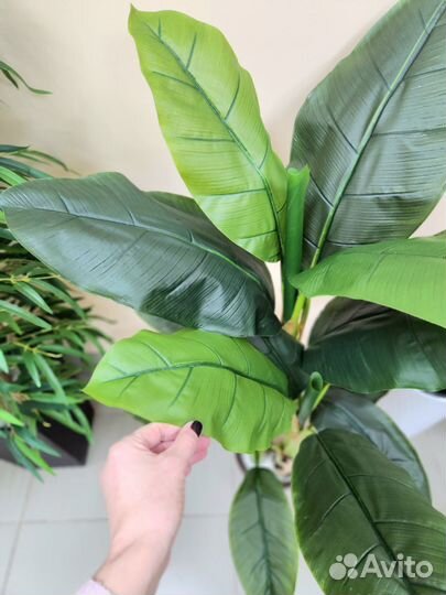 Пальма Банан Мини цветок искусственный в кафе офис