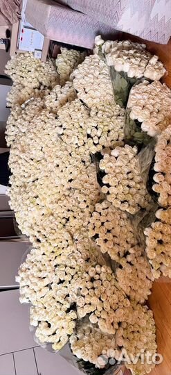 Цветы свежие