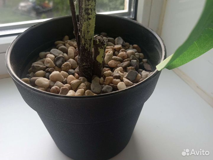 Цветы искусственные (3 вида)