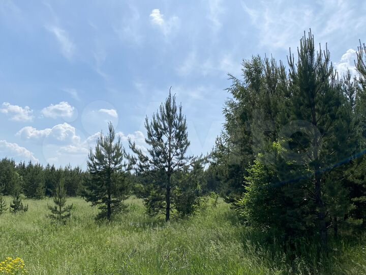 Участок 80 сот. (СНТ, ДНП)