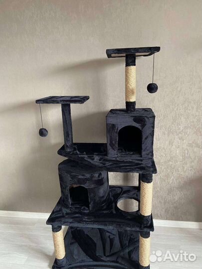 Когтеточка