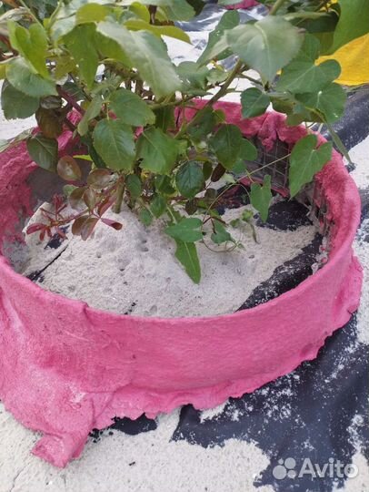 Ваза и бетонные кружочки для растений