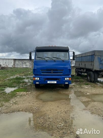 КАМАЗ 65117-N3, 2010