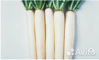 Семена Дайкона 