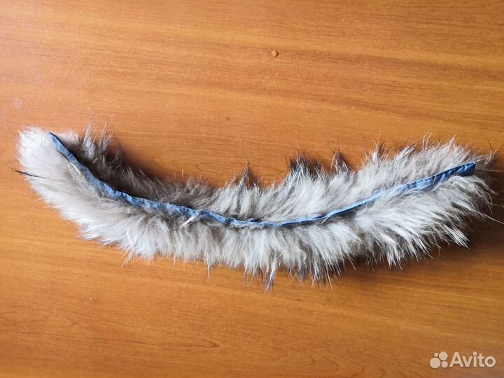 Енот и песец