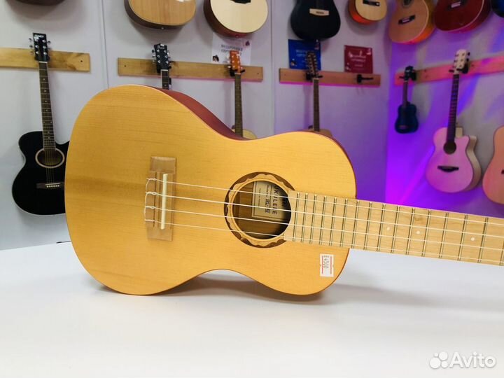 Укулеле Концерт Новая