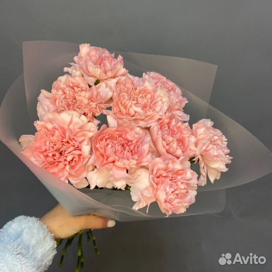 Гвоздики с доставкой