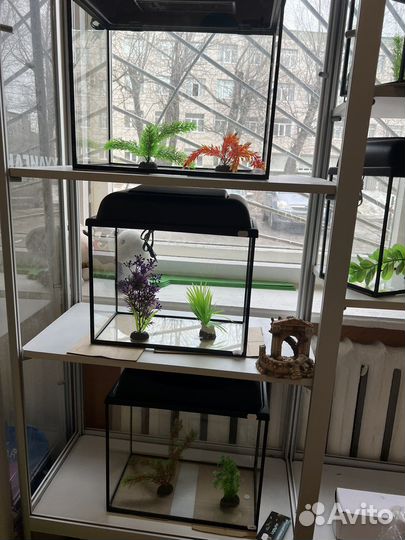 Аквариум новый