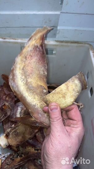 Лакомства для собак