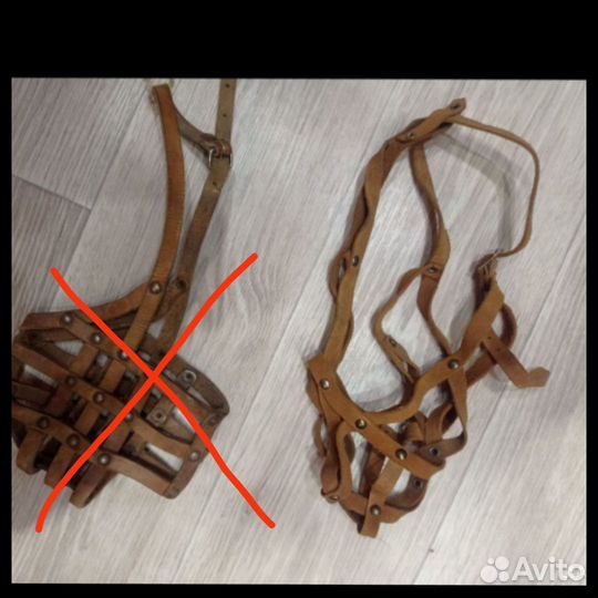 Амуниция для собак