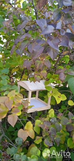 Кормушки и скворечники