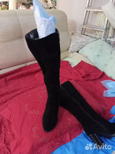 Сапоги замша ботфорты