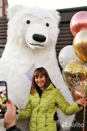 Поздравление от белого мишки Большой белый медведь