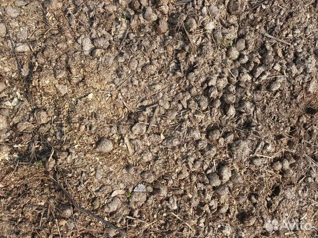 Конский навоз