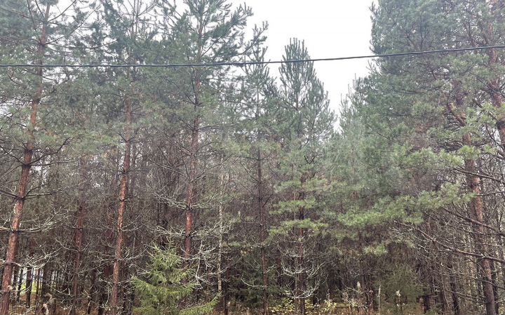 Участок 22,2 га (ИЖС)