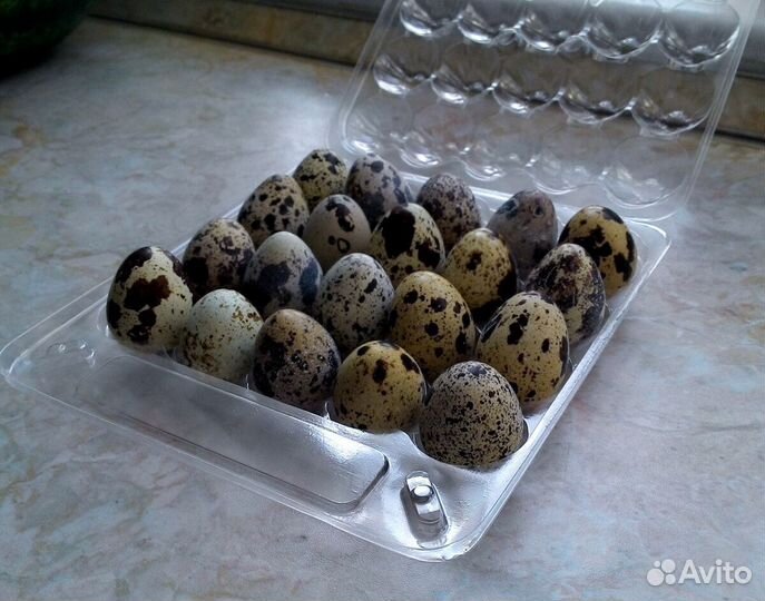 Яйца Перепелиные,Куриные.Утиные
