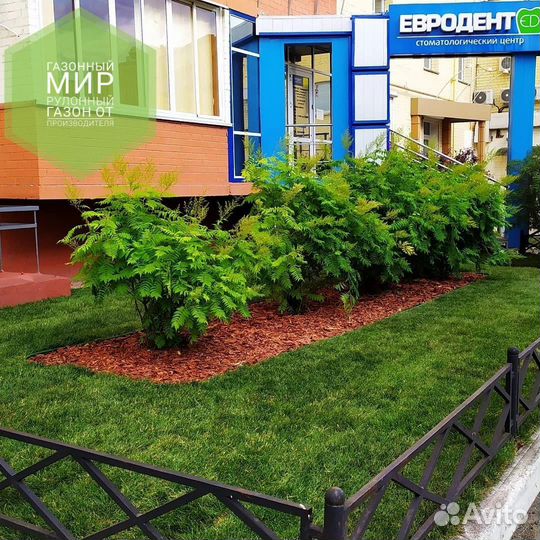 Рулонный газон