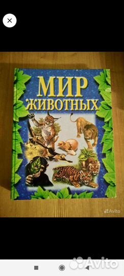 Энциклопедия дошкольника