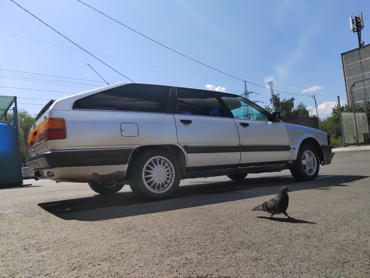 Audi 100: фото владельца