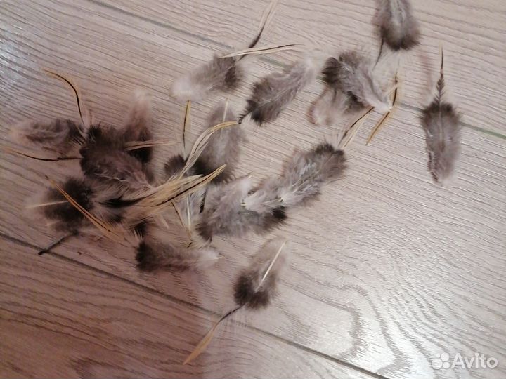 Гусиные и петушиные перья