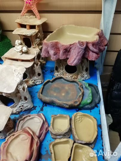 Поилка, укрытие, влажная камера