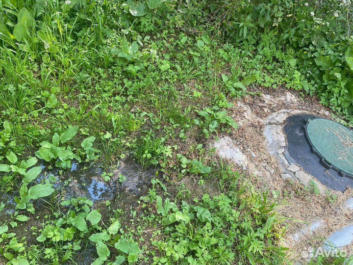 Чистка септика