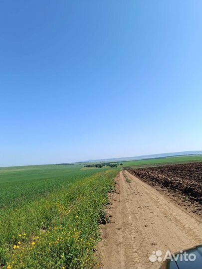 Продам Крестьянско-фермерское хозяйство