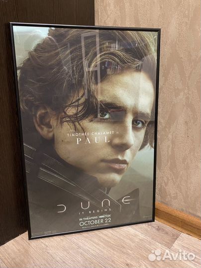 Постер Дюна с Тимоти Шаламе